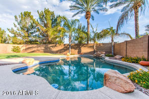 1703 E Cotton Ct, Gilbert, AZ 85234 photo 35