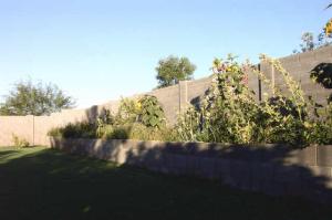 3621 E Simpson Ct, Gilbert, AZ 85297 photo 13