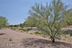 15213 S 28th St, Phoenix, AZ 85048 photo 30
