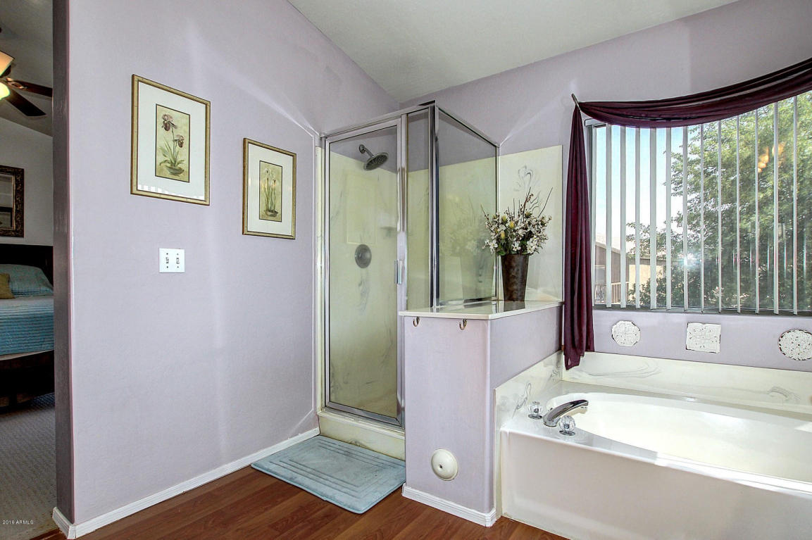 1533 W Pacific Dr, Gilbert, AZ 85233 photo 29
