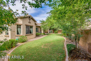 2900 E Flower St, Gilbert, AZ 85298 photo 39