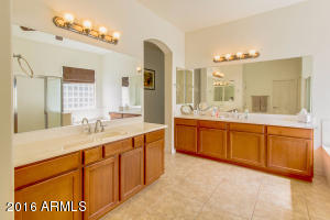 2900 E Flower St, Gilbert, AZ 85298 photo 23