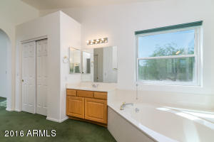 15068 S 40th St, Phoenix, AZ 85044 photo 20