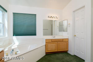 15068 S 40th St, Phoenix, AZ 85044 photo 19