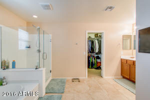 3207 E Regina St, Mesa, AZ 85213 photo 16