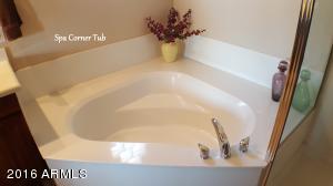 11450 Enrose St, Mesa, AZ 85207 photo 16
