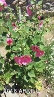 13830 E Bradshaw Rd, Dewey, AZ 86327 photo 7