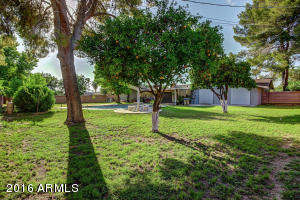 1605 E Brown Rd, Mesa, AZ 85203 photo 37