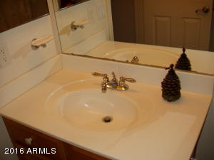 10829 E Arcadia Ave, Mesa, AZ 85208 photo 20