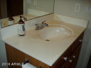 10829 E Arcadia Ave, Mesa, AZ 85208 photo 16