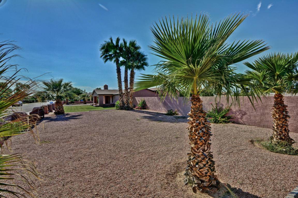 2906 E Danbury Rd, Phoenix, AZ 85032 photo 8
