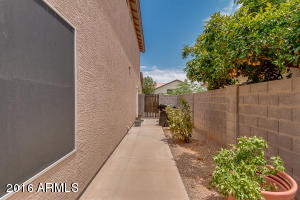 870 N Olympic Dr, Gilbert, AZ 85234 photo 24