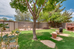 870 N Olympic Dr, Gilbert, AZ 85234 photo 21