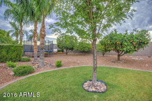 683 S Roanoke St, Gilbert, AZ 85296 photo 45