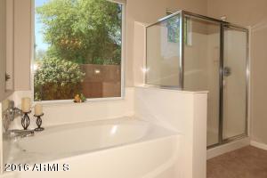 3158 S Seton Ave, Gilbert, AZ 85295 photo 22
