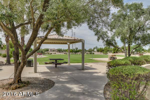 1035 W Olive Ave, Gilbert, AZ 85233 photo 27