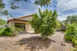 1035 W Olive Ave, Gilbert, AZ 85233 photo 24