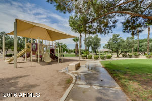 1035 W Olive Ave, Gilbert, AZ 85233 photo 30