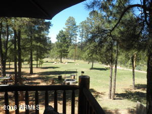 3048 Aspen Rd, Overgaard, AZ 85933 photo 6