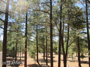3048 Aspen Rd, Overgaard, AZ 85933 photo 5