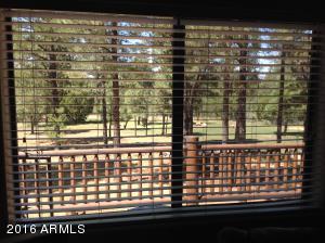 3048 Aspen Rd, Overgaard, AZ 85933 photo 15