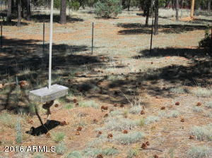 3048 Aspen Rd, Overgaard, AZ 85933 photo 8