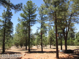 3048 Aspen Rd, Overgaard, AZ 85933 photo 4