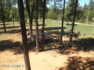 3048 Aspen Rd, Overgaard, AZ 85933 photo 7