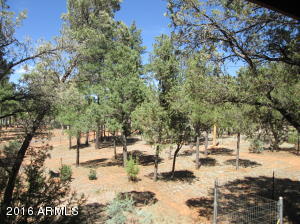 3048 Aspen Rd, Overgaard, AZ 85933 photo 9