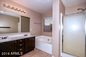 10304 E Capri Ave, Mesa, AZ 85208 photo 30