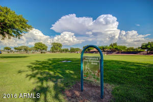 10304 E Capri Ave, Mesa, AZ 85208 photo 46