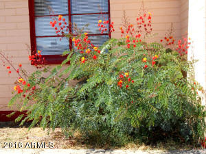 3838 W Avalon Dr, Phoenix, AZ 85019 photo 28