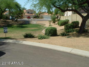 4619 E Saint John Rd, Phoenix, AZ 85032 photo 20