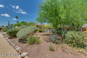 1412 E Laguna Dr, Tempe, AZ 85282 photo 3