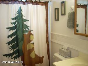 3349 Whispering Pine Dr, Overgaard, AZ 85933 photo 30