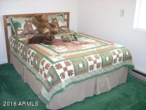 3349 Whispering Pine Dr, Overgaard, AZ 85933 photo 27