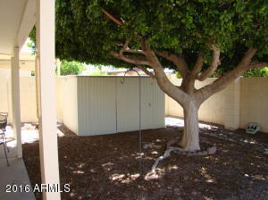 7006 E Jensen St #110, Mesa, AZ 85201 photo 18