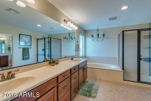 2463 Eleana Ln, Gilbert, AZ 85298 photo 36