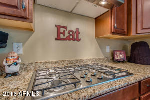 2463 Eleana Ln, Gilbert, AZ 85298 photo 20