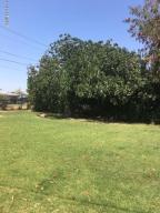 3511 E Yale St, Phoenix, AZ 85008 photo 3