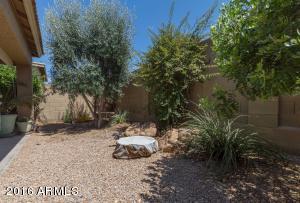 527 E Rainbow Dr, Chandler, AZ 85249 photo 7