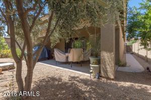 527 E Rainbow Dr, Chandler, AZ 85249 photo 6