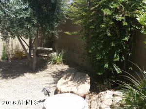 527 E Rainbow Dr, Chandler, AZ 85249 photo 8