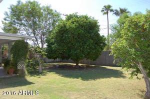 239 E Millett Ave, Mesa, AZ 85210 photo 2