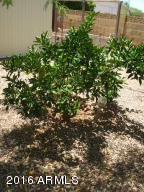 5209 E Covina Rd, Mesa, AZ 85205 photo 33