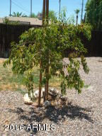 5209 E Covina Rd, Mesa, AZ 85205 photo 31