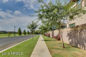 4146 E Comstock Dr, Gilbert, AZ 85296 photo 109