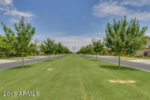 4146 E Comstock Dr, Gilbert, AZ 85296 photo 87