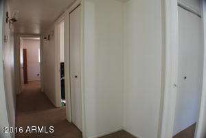 358 W Hackamore Ave, Gilbert, AZ 85233 photo 34