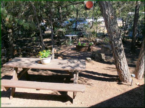 2174 Border Legion Dr, Overgaard, AZ 85933 photo 4